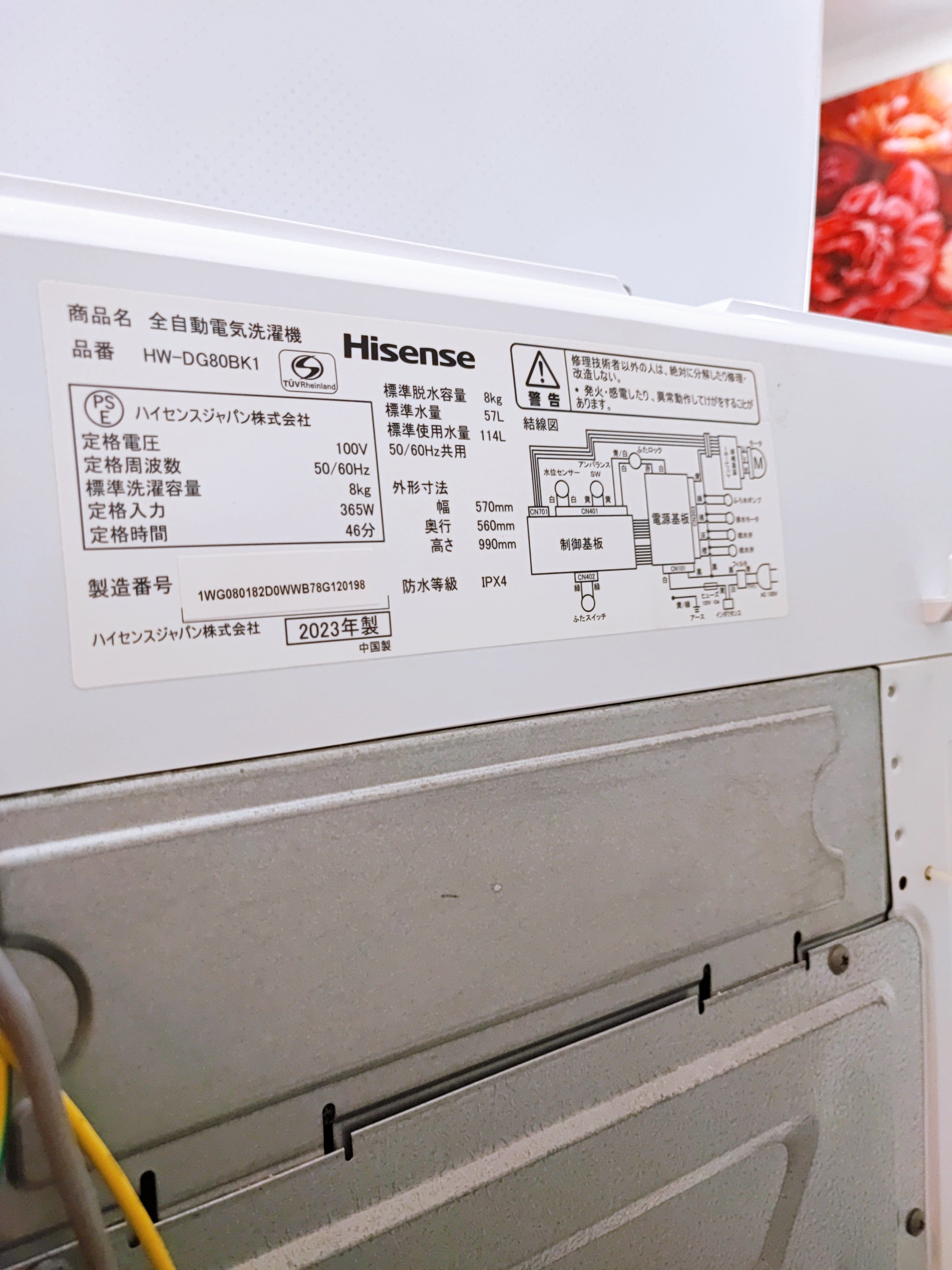 Hisense 8kg Top-Load Washing Machine (2023) – HW-DG80BK1 | Inverter | White